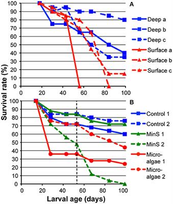 Larval Behavior and Longevity in the Cold-Water Coral Lophelia pertusa Indicate Potential for Long Distance Dispersal